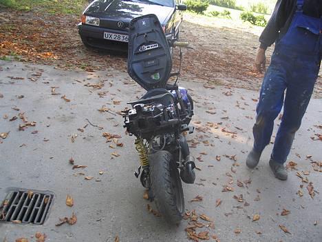 PGO Pmx  -MHR-  billede 5