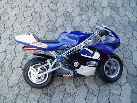 PGO Dr.big- solgt billede 13