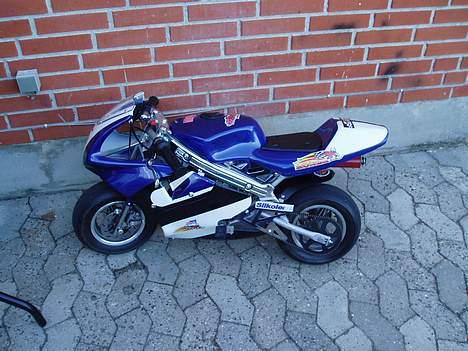 PGO Dr.big- solgt billede 16