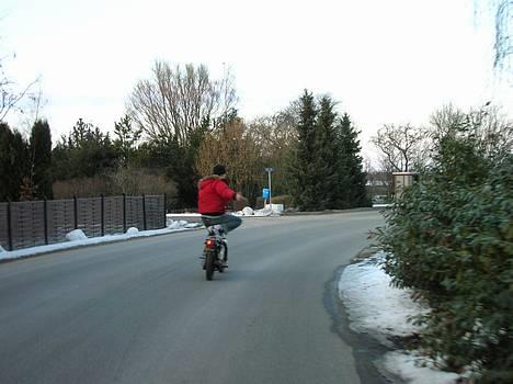 Suzuki Fz 50 Qano`s SOLGT billede 2