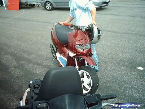 Aprilia Rally LC solgt billede 11