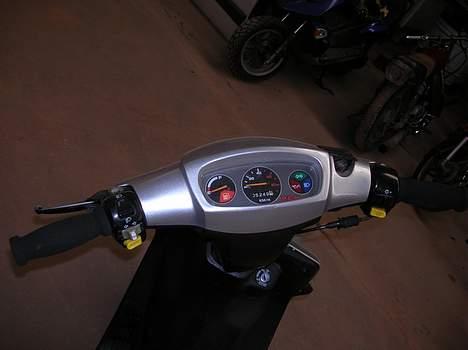 PGO er soglet billede 9