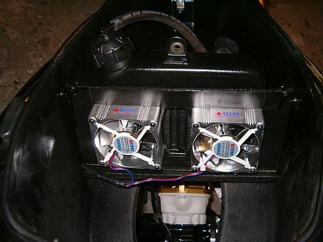 Piaggio *Typhoon* lc SOLGT - køler billede 2