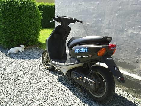 Yamaha Neos // Solgt billede 4