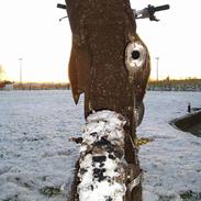 Suzuki RM 125 >>Solgt<<