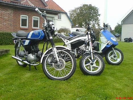 Yamaha Fs1 Dx 4 gear  - Braue - Jungs billede 2