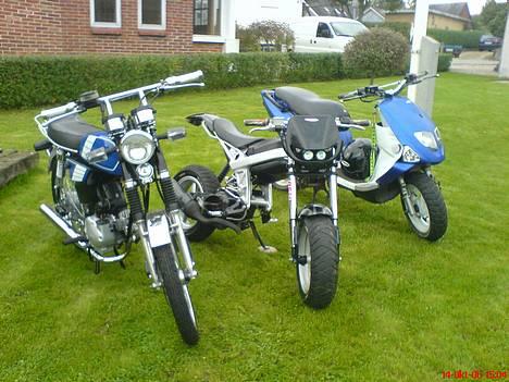 Yamaha Fs1 Dx 4 gear  - Braue - Jungs billede 3