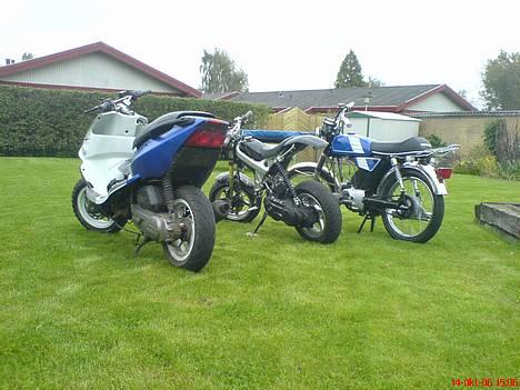 Yamaha Fs1 Dx 4 gear  - Braue - Jungs billede 4