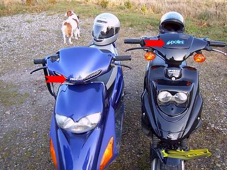 PGO Hot50 Team Ekspres - Kvalitets varer.. Hehe.. billede 11