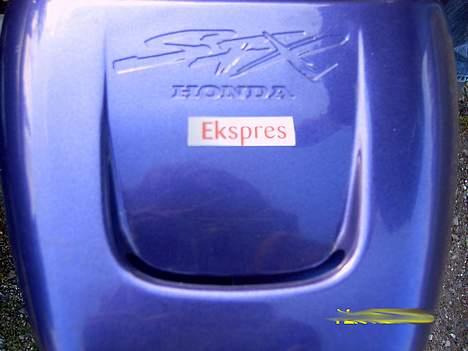 PGO Hot50 Team Ekspres - Team Expres. Vi ses derude gutter! billede 12