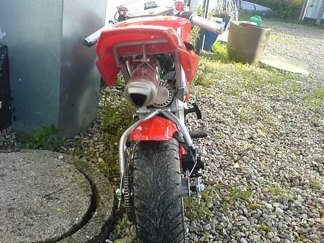 MiniBike Midi pocketbike (Solgt) billede 6