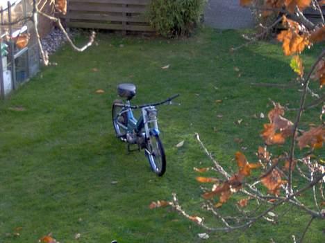 Puch maxi K TIL SALG billede 7