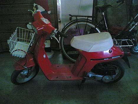 Honda melody mini(Solgt) billede 3