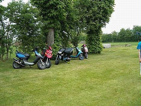 Aprilia Rally*EVO LC*nakket billede 4