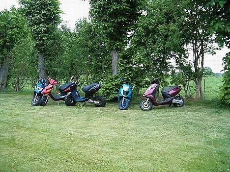 Aprilia Rally*EVO LC*nakket billede 5