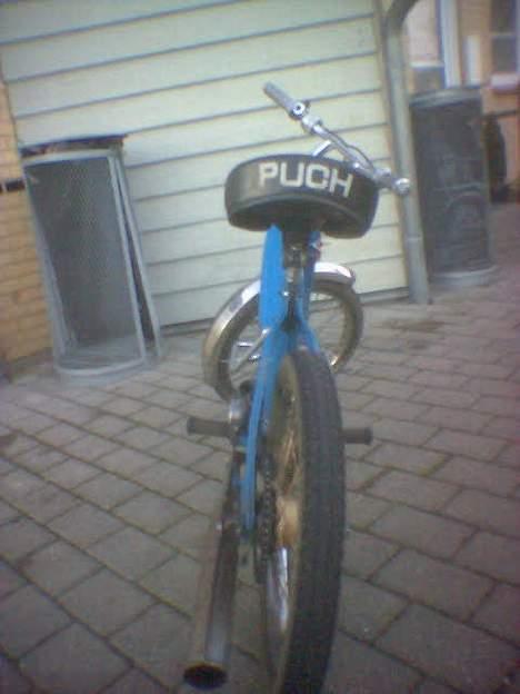 Puch Maxi billede 6