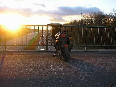 PGO Hot 50 - Solgt billede 8