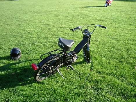 Puch Maxi kDenSorteDjævelsolgt billede 7