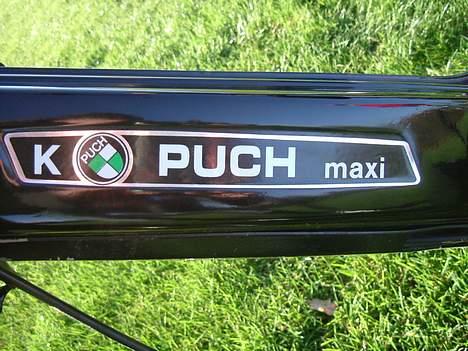Puch Maxi kDenSorteDjævelsolgt billede 9