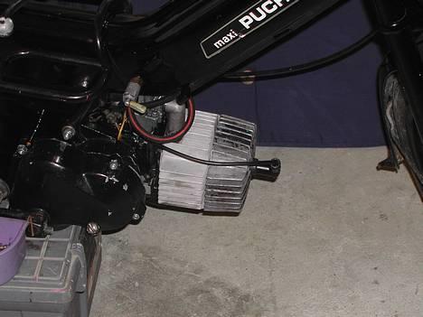 Puch Maxi kDenSorteDjævelsolgt billede 11