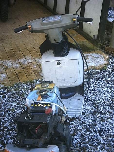 Suzuki Scooper GT billede 5