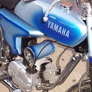 Yamaha FS1 DX special
