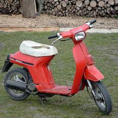 Honda Mini Melody // SOLGT