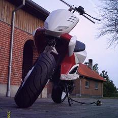 Yamaha Slider Costum SOLGT 9500