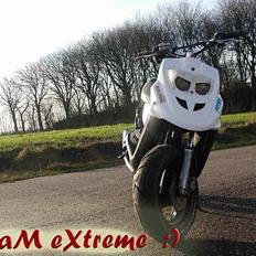 PGO HOT 50 Projekt . 