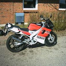 Yamaha TZR 50