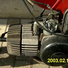 Puch maxi k -Team - [RcR] -