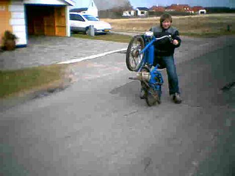 Peugeot ALLE billede 2