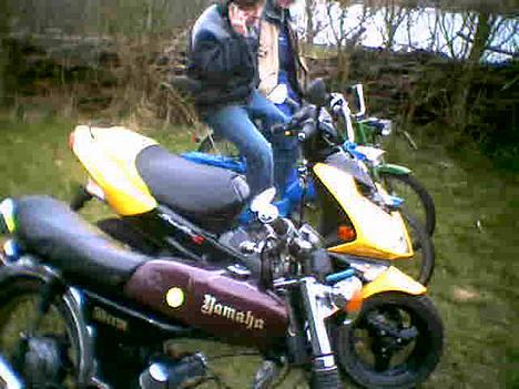 Peugeot ALLE billede 4