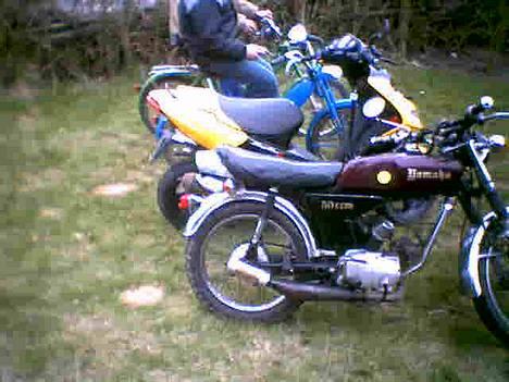 Peugeot ALLE billede 5