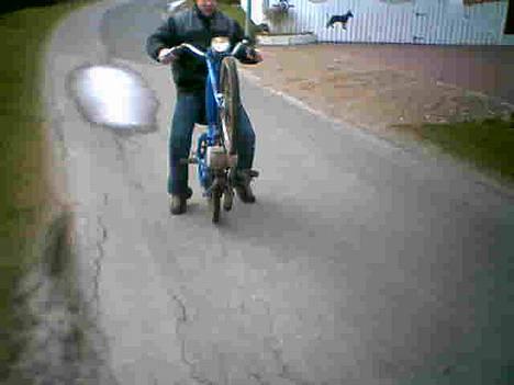 Peugeot ALLE billede 7