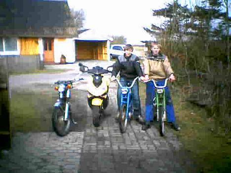 Peugeot ALLE billede 8