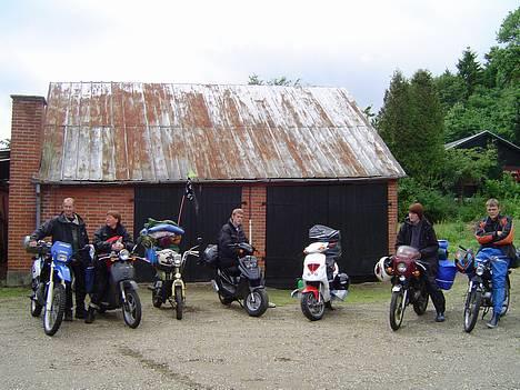 Suzuki FZ 50 - solgt - Ældre billed - flotter idag billede 6