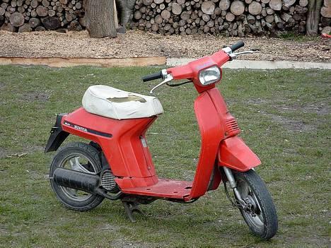 Honda Mini Melody // SOLGT billede 1