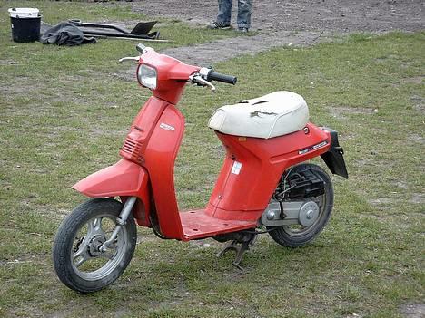 Honda Mini Melody // SOLGT billede 3