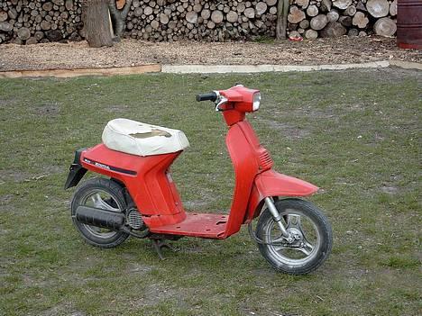 Honda Mini Melody // SOLGT billede 4