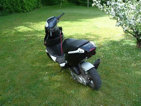 PGO Dr. Big billede 2