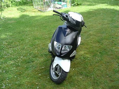 PGO Dr. Big billede 4