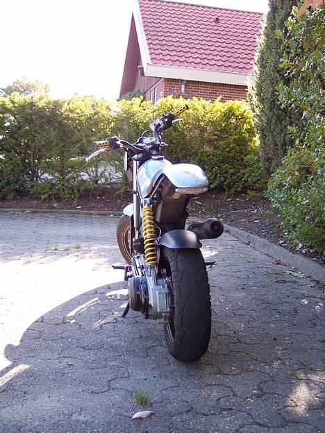 Suzuki Street Magic - Søger en Acerbis front eller lign. til den... billede 3