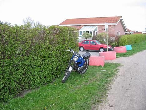 Puch Monza 3g billede 1