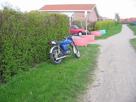 Puch Monza 3g billede 3