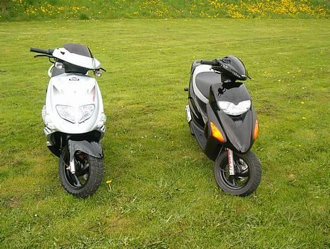 PGO Dr. Big - Min og Martin S´ Honda SFX billede 2