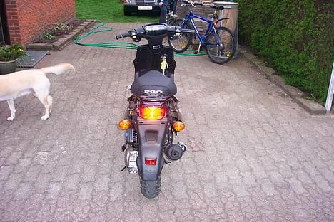 PGO Hot 50 Før !! - Ja her skulle min hund jo selvfølgelig ind foran.. billede 4