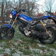 Suzuki Streetmagic