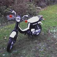 Suzuki FZ50 [SOLGT]