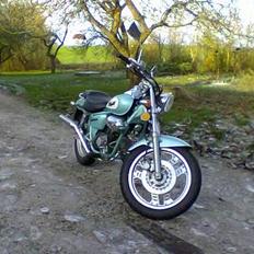 Jincheng Knight (SOLGT)